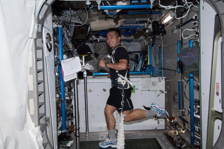 Exercices de l'astronaute JAXA Koichi Wakata