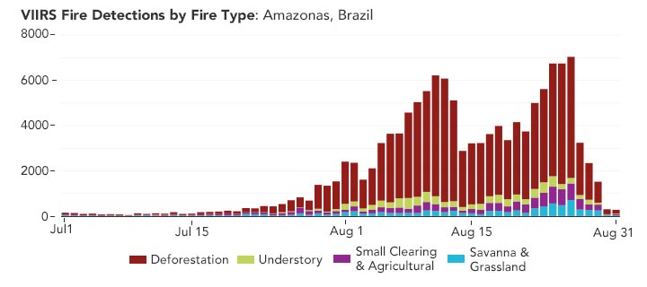 Tableau des types d'incendie Amazonas Brésil