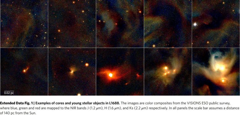 L1688 Amas stellaire en formation d'étoiles