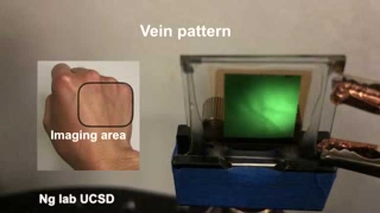 Un nouvel imageur infrarouge peut cartographier les vaisseaux sanguins d'une personne sans toucher la peau