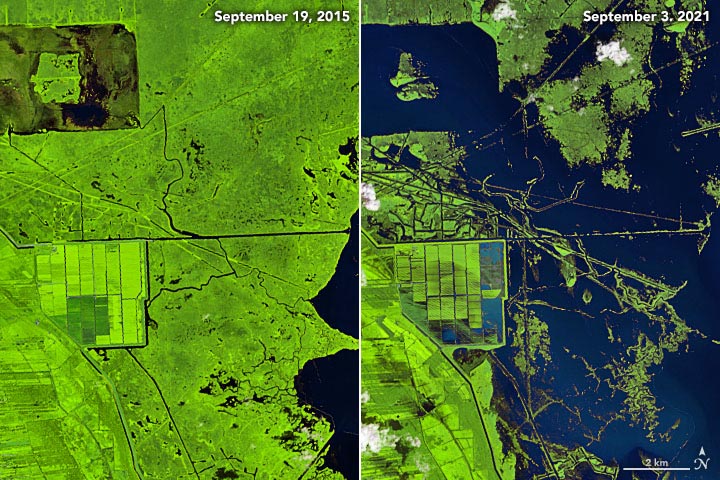 Marais avant et après l'ouragan Ida