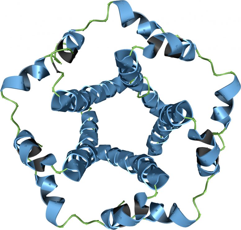 Protéine d'enveloppe SARS-CoV-2
