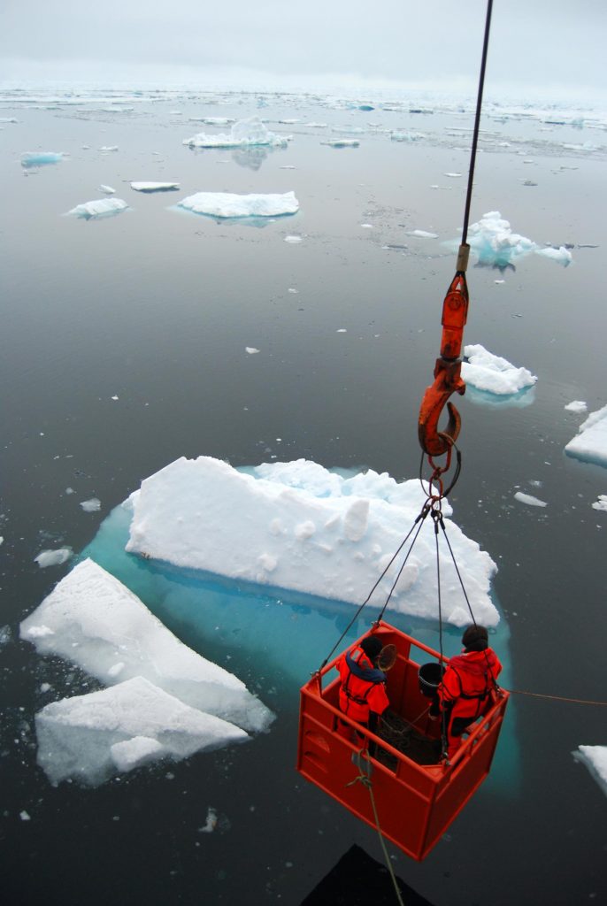 Des scientifiques échantillonnent des communautés de phytoplancton sous la glace