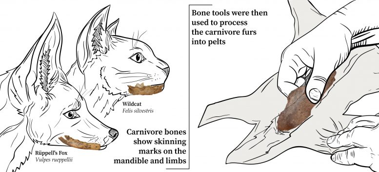 Bone Tools Fourrures en peaux