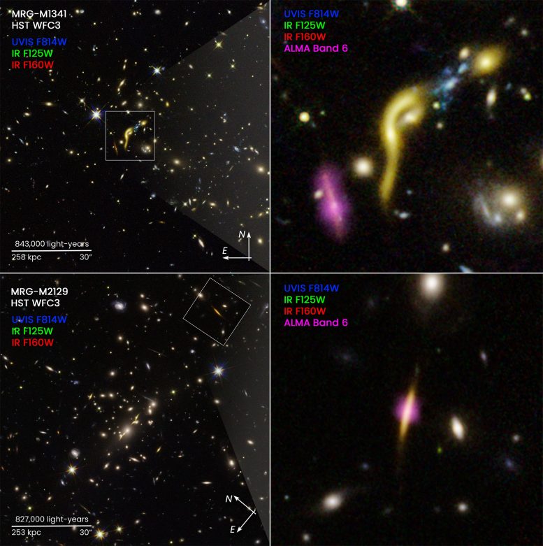 REQUIEM Galaxies Boussole Image