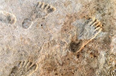 Des empreintes anciennes fournissent des preuves de l'activité humaine dans les Amériques des milliers d'années plus tôt que prévu