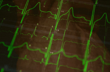 Heart Cardiology Concept