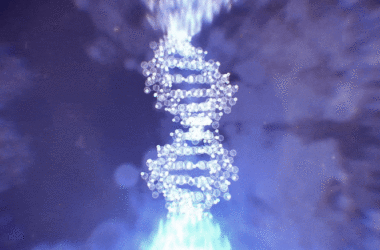 DNA Transfer Concept