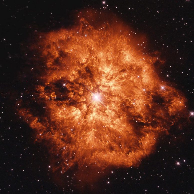L'étoile Wolf Rayet 124