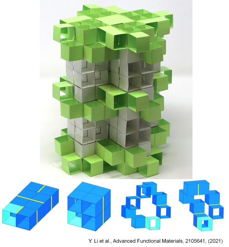 Blocs de construction Kirigami 3D Structures de métamatériaux dynamiques