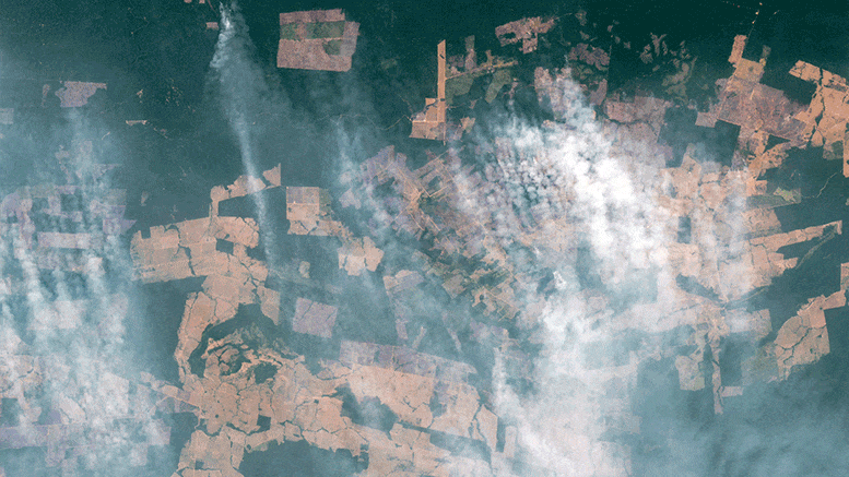 Ciel enfumé dans l'ouest de l'Amazonie - Activité d'incendie principalement due aux incendies de déforestation