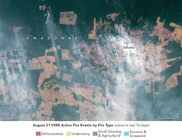 Incendie Événements Amazonas Août 2021 Annoté