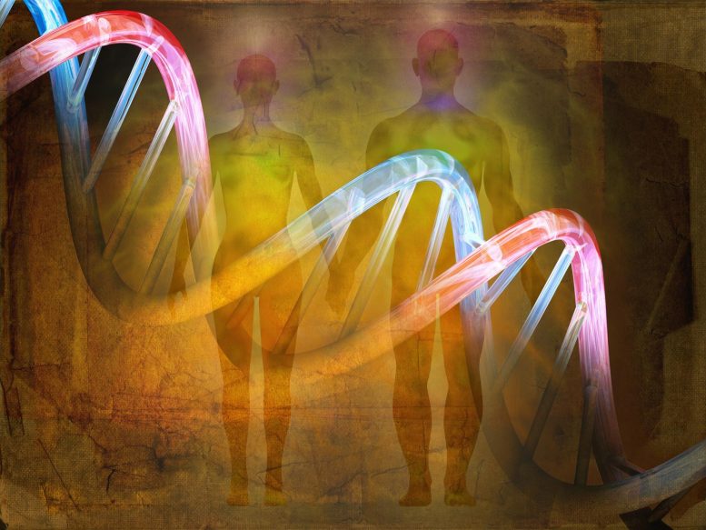 Concept d'histoire de l'évolution de l'ADN humain