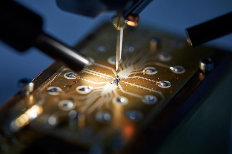 Appareil Spin Qubit connecté à la carte de circuit imprimé