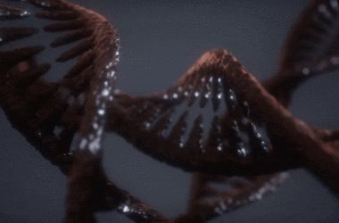 Dark DNA Double Helix