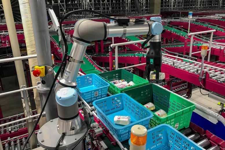 Robot de cueillette droitier robotique