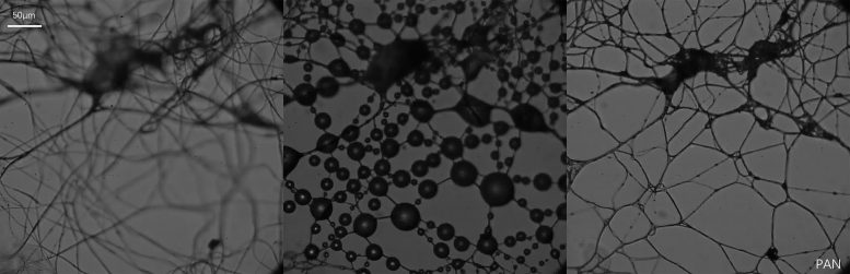 Maille de nanofibre de polyacrylonitrile