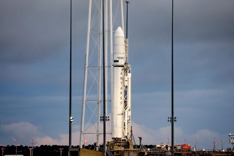 La fusée Northrop Grumman Antares transportant le vaisseau spatial de ravitaillement Cygnus