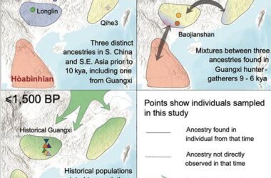 Overview of Population Dynamical History at the Crossroads of East and Southeast Asia