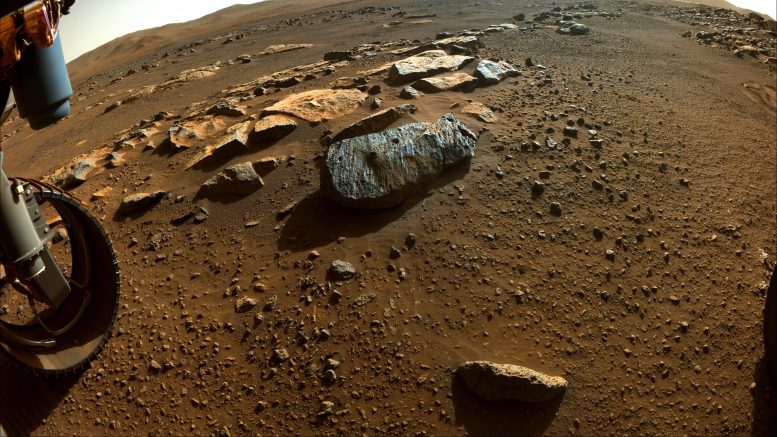 Rochette Trous Mars Rock