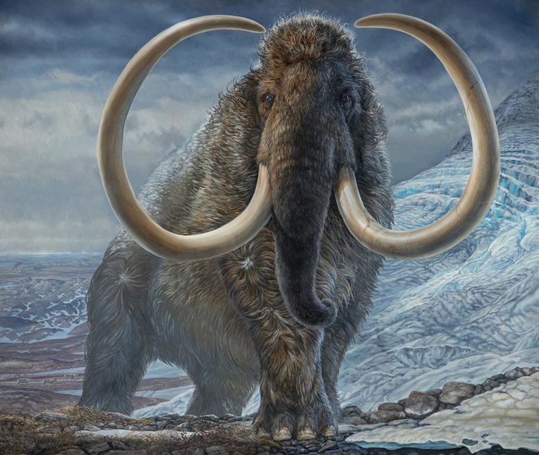 Illustration de mammouth laineux mâle adulte