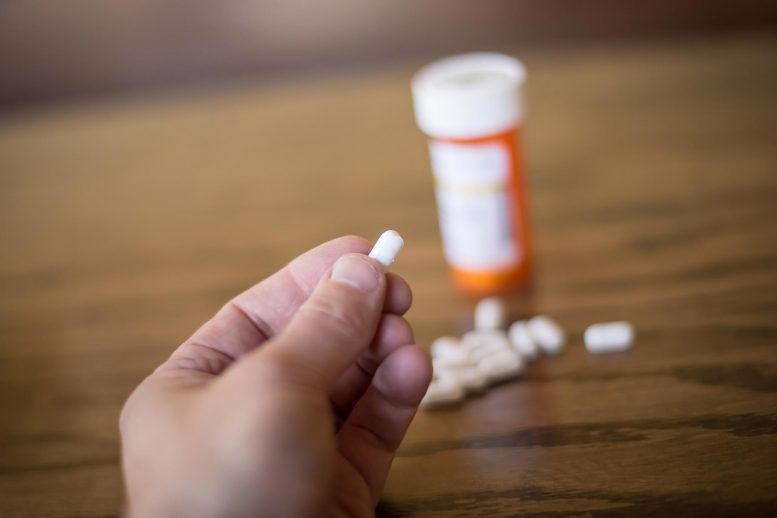 Dépendance aux analgésiques aux opioïdes