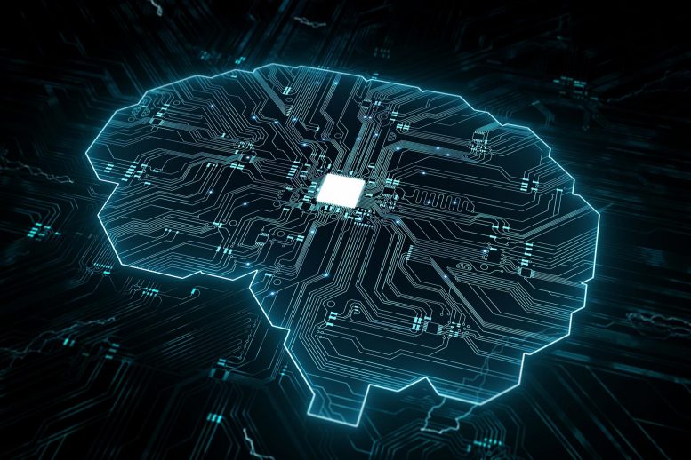 Connectivité du circuit cérébral de l'IA