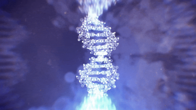 Concept de transfert d'ADN