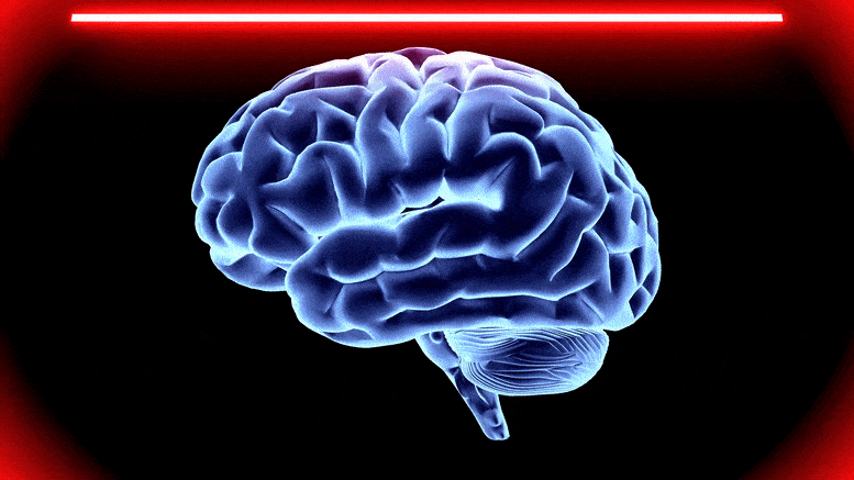 Animation d'analyse du cerveau