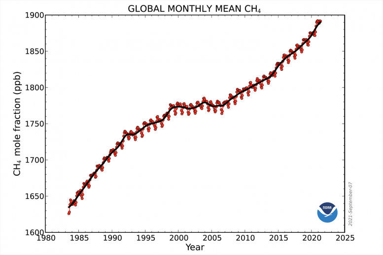 Méthane atmosphérique mensuel mondial