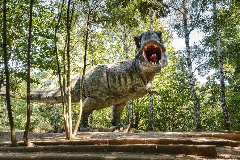 Tyrannosaure Rex Faune