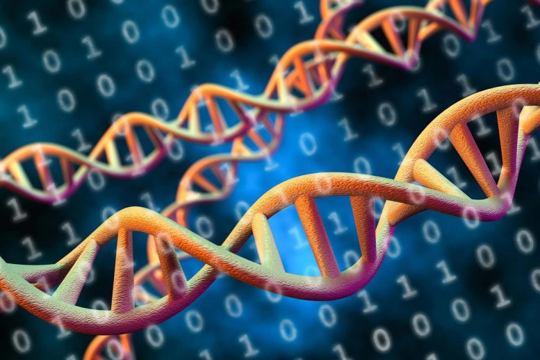 Concept de stockage de données ADN