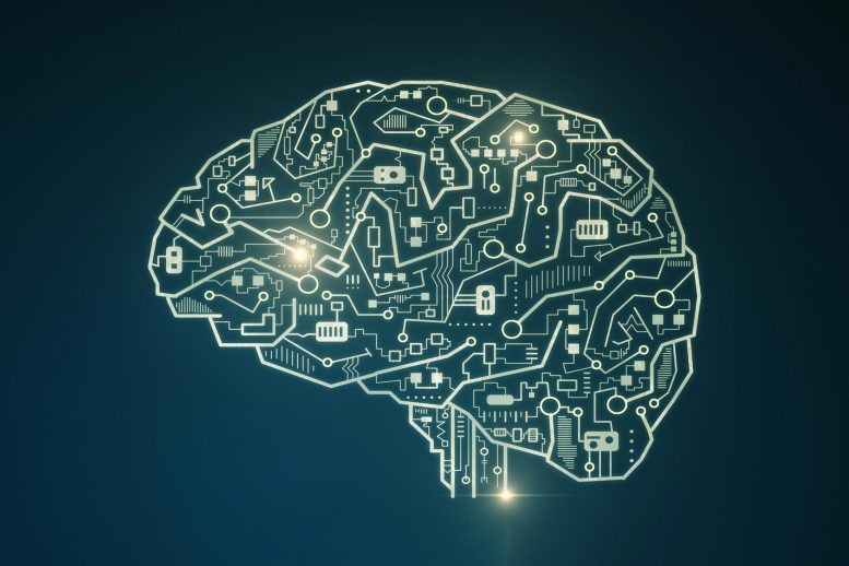 Circuit informatique du cerveau