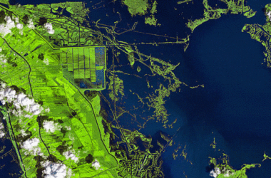Un paysage modifié dans le sud de la Louisiane après l'ouragan Ida : de nouvelles étendues d'eau libre