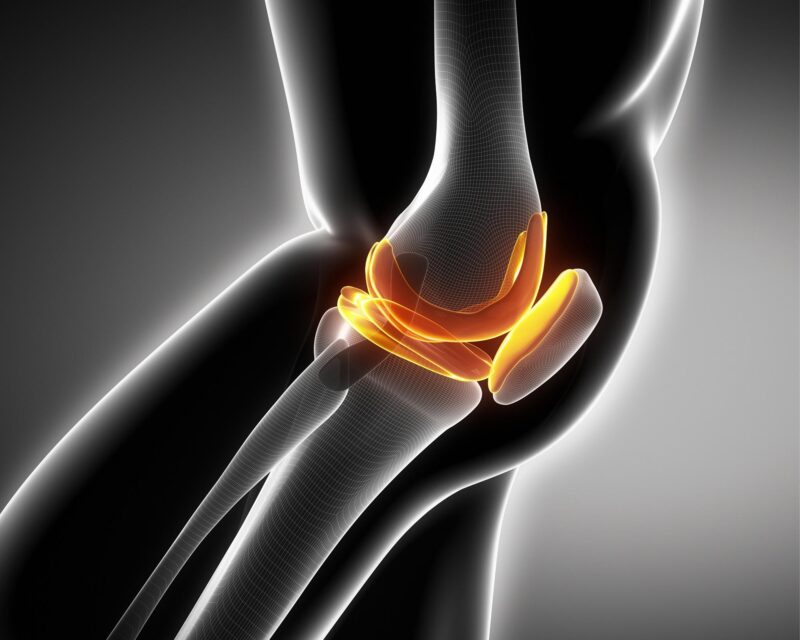 Knee Cartilage Illustration