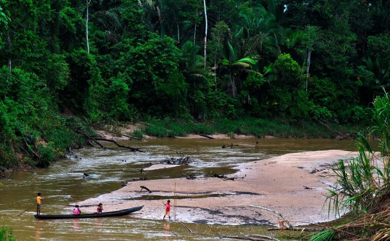 Amazonie brésilienne Réserve extractive Riozinho da Liberdade
