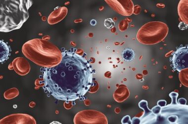 Coronavirus Blood Cells Illustration