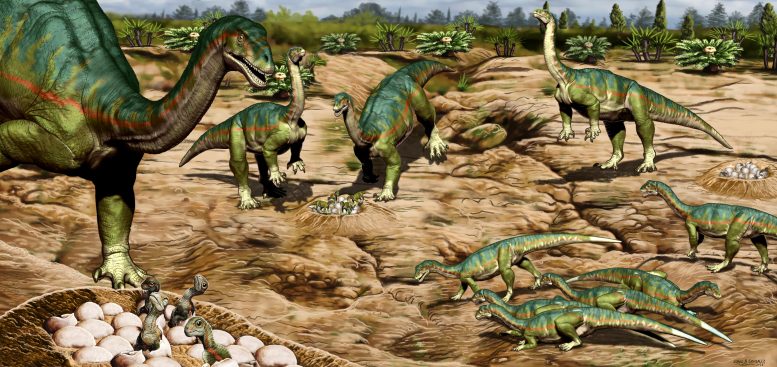 Site de nidification de dinosaures Mussaurus patagonicus