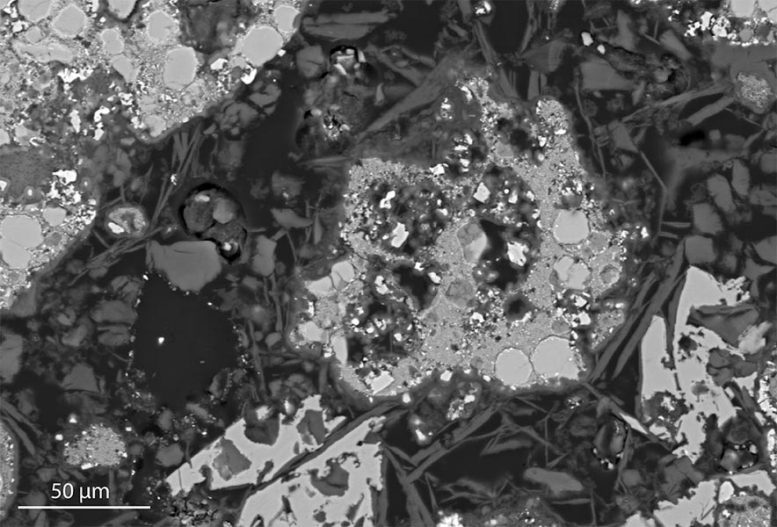 Tomb mortier Image au microscope électronique à balayage