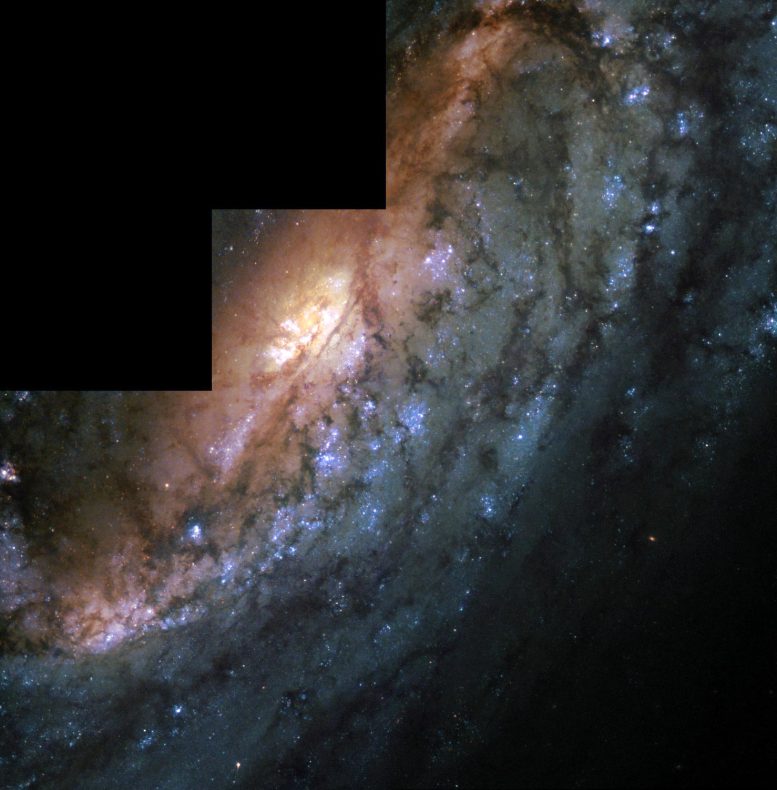 Barre dans la galaxie spirale NGC 2903