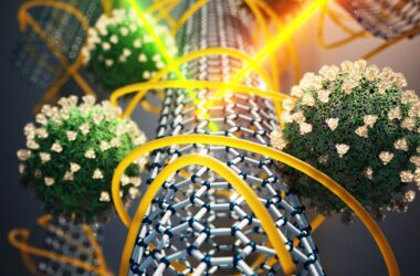 Carbon Nanotube SARS-CoV-2 Sensor