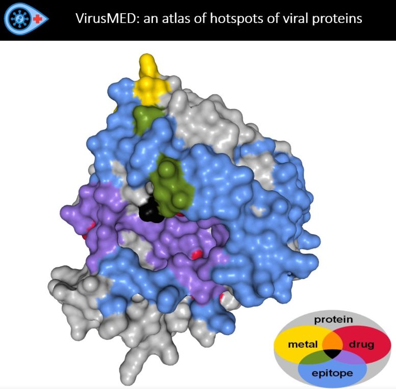 Carte pour guider les scientifiques vers la victoire sur les virus