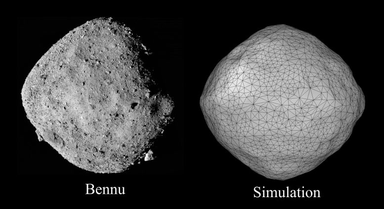 Forme observée et simulée d'un astéroïde de tas de décombres en rotation