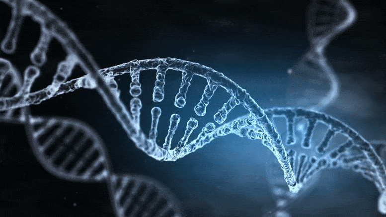 La génétique de l'ADN
