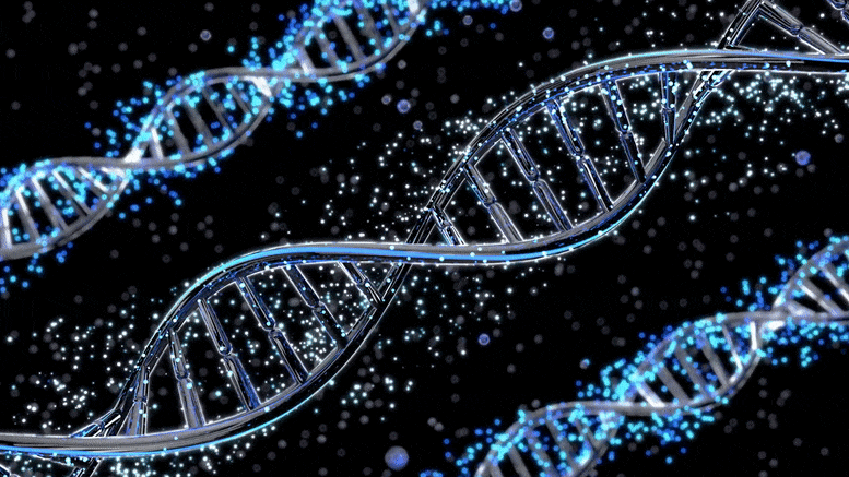 Concept de thérapie génique par l'ADN