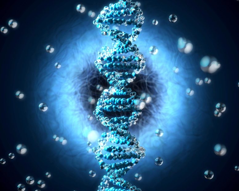 Concept d'histoire génétique de l'ADN ancien