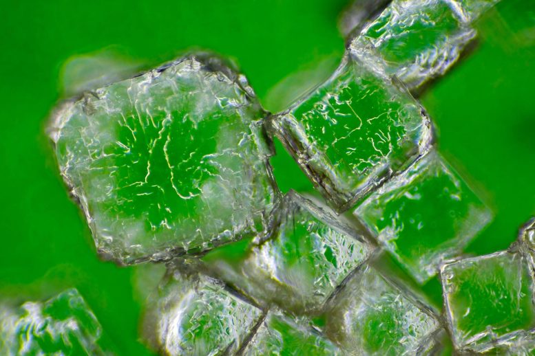 Vue microscopique de cristaux de chlorure de sodium