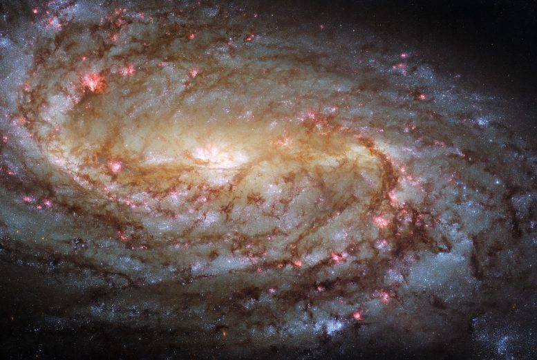 Galaxie spirale NGC 2903