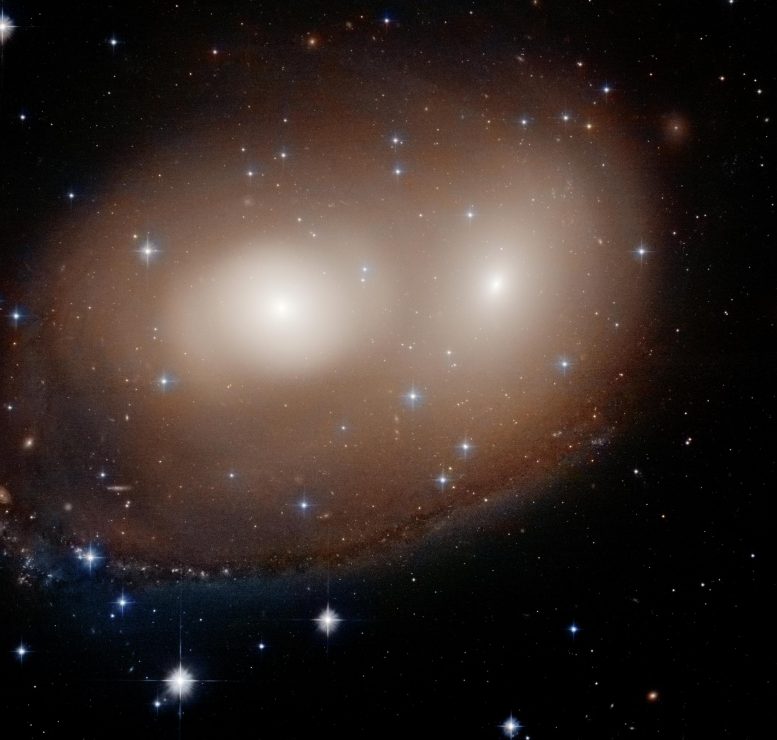 Paire Galaxie Citrouille Majeure