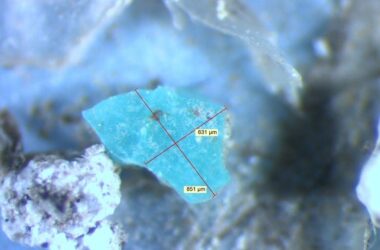 Microplastics Under Microscope